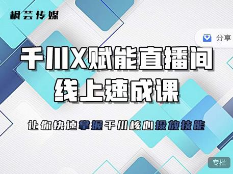 枫芸传媒-线上千川提升课，提升千川认知，提升千川投放效果_网络创业-网赚项目-副业赚钱-信息差项目-互联网创业-资源整合-创业资讯-最新网赚课程金铲子项目