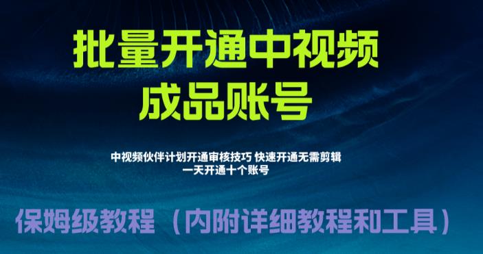 [新自媒体]外面收费1980暴力开通中视频计划教程，附 快速通过中视频伙伴计划的办法_网络创业-网赚项目-副业赚钱-信息差项目-互联网创业-资源整合-创业资讯-最新网赚课程金铲子项目