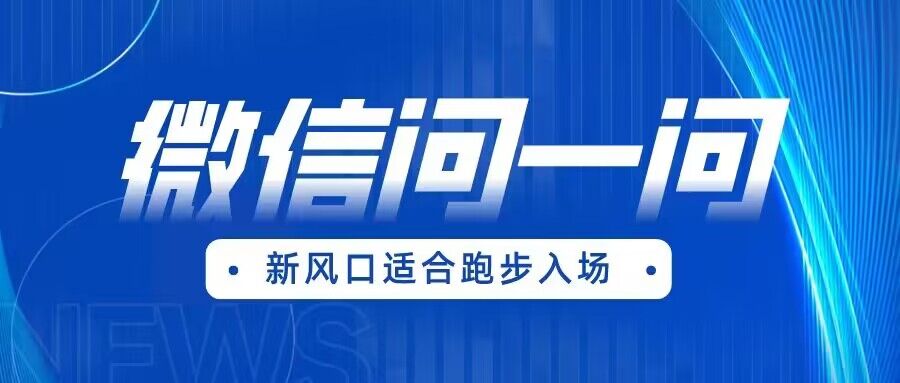 全网首发微信问一问新风口变现项目（价值1999元）_网络创业-网赚项目-副业赚钱-信息差项目-互联网创业-资源整合-创业资讯-最新网赚课程金铲子项目