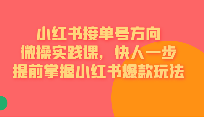 [小红书]小红书接单号方向微操实践课，快人一步提前掌握小红书爆款玩法_网络创业-网赚项目-副业赚钱-信息差项目-互联网创业-资源整合-创业资讯-最新网赚课程金铲子项目