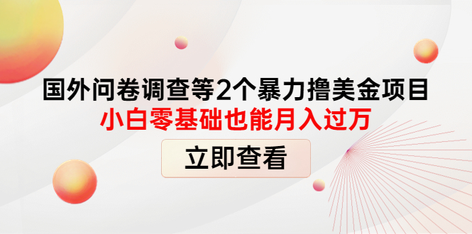 （4062期）国外问卷调查等2个暴力撸美金项目，小白零基础也能月入过万_网络创业-网赚项目-副业赚钱-信息差项目-互联网创业-资源整合-创业资讯-最新网赚课程金铲子项目