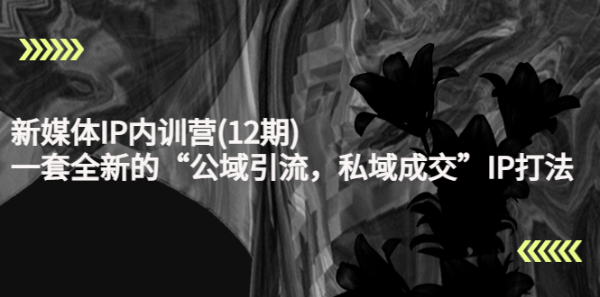 （4103期）新媒体IP内训营(12期)，一套全新的“公域引流，私域成交”IP打法，直接带走_网络创业-网赚项目-副业赚钱-信息差项目-互联网创业-资源整合-创业资讯-最新网赚课程金铲子项目