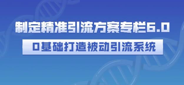 制定精准引流方案专栏6.0，0基础打造被动引流系统_网络创业-网赚项目-副业赚钱-信息差项目-互联网创业-资源整合-创业资讯-最新网赚课程金铲子项目