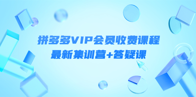 （4127期）某社群·拼多多VIP会员收费课程，最新集训营+答疑课-价值3299元_网络创业-网赚项目-副业赚钱-信息差项目-互联网创业-资源整合-创业资讯-最新网赚课程金铲子项目