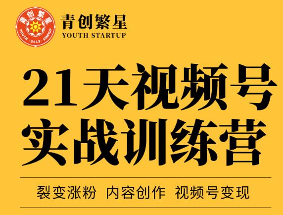 张萌21天视频号实战训练营，裂变涨粉、内容创作、视频号变现 价值298元_网络创业-网赚项目-副业赚钱-信息差项目-互联网创业-资源整合-创业资讯-最新网赚课程金铲子项目