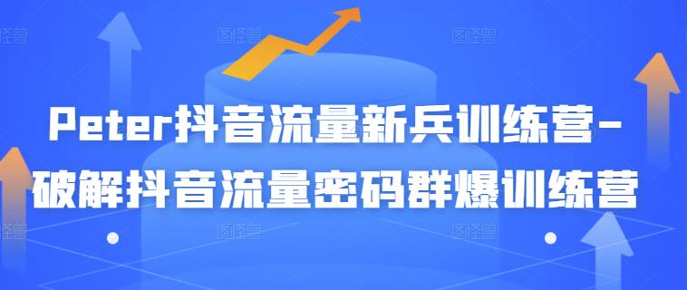 Peter抖音流量新兵训练营-破解抖音流量密码群爆训练营（新兵）_网络创业-网赚项目-副业赚钱-信息差项目-互联网创业-资源整合-创业资讯-最新网赚课程金铲子项目