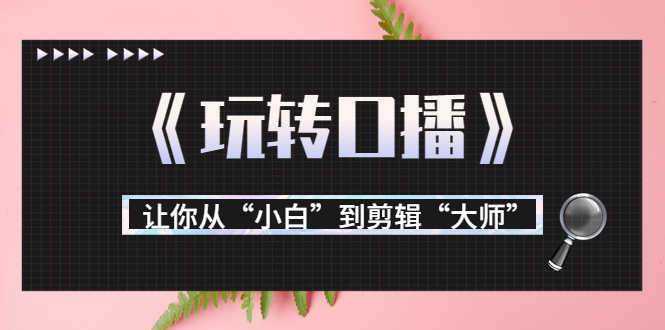 月营业额700万+大佬教您《玩转口播》让你从“小白”到剪辑“大师”_网络创业-网赚项目-副业赚钱-信息差项目-互联网创业-资源整合-创业资讯-最新网赚课程金铲子项目