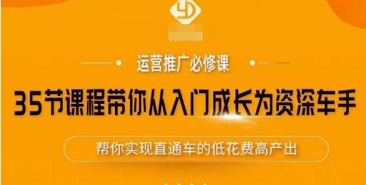 35节课程带你从入门成长为资深车手，让系统学习直通车成为可能，帮你实现直通车的低花费高产出_网络创业-网赚项目-副业赚钱-信息差项目-互联网创业-资源整合-创业资讯-最新网赚课程金铲子项目