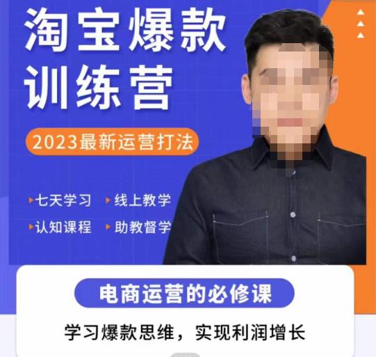 爱上黄昏·淘宝爆款训练营，2023最新运营打法，学习爆款思维，实现利润增长_网络创业-网赚项目-副业赚钱-信息差项目-互联网创业-资源整合-创业资讯-最新网赚课程金铲子项目