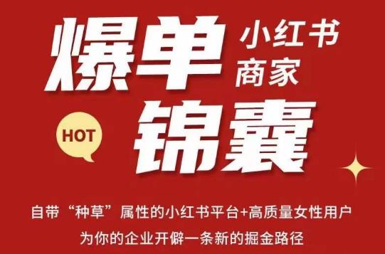 无畏·小红书商家爆单锦囊，掌握小红书各大规则，快速精准抢占行业和市场_网络创业-网赚项目-副业赚钱-信息差项目-互联网创业-资源整合-创业资讯-最新网赚课程金铲子项目