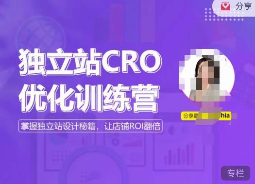 独立站CRO优化训练营，掌握独立站设计秘籍，打造高转化的独立站，让店铺ROI翻倍_网络创业-网赚项目-副业赚钱-信息差项目-互联网创业-资源整合-创业资讯-最新网赚课程金铲子项目