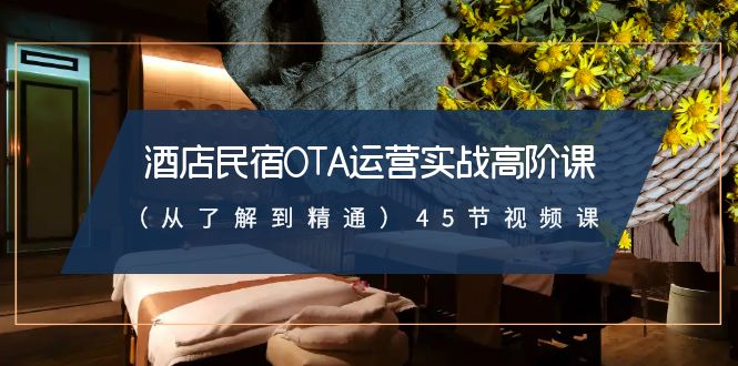 酒店民宿OTA运营实战高阶课（从了解到精通）45节视频课_网络创业-网赚项目-副业赚钱-信息差项目-互联网创业-资源整合-创业资讯-最新网赚课程金铲子项目