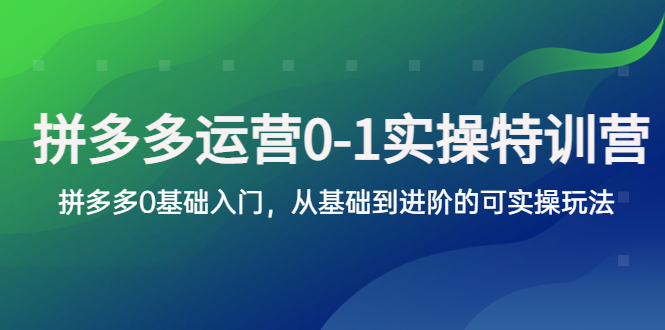 （5747期）拼多多-运营0-1实操训练营，拼多多0基础入门，从基础到进阶的可实操玩法_网络创业-网赚项目-副业赚钱-信息差项目-互联网创业-资源整合-创业资讯-最新网赚课程金铲子项目