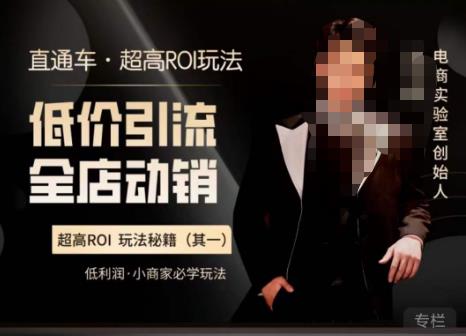 电商冰可乐·直通车·《低价引流·全店动销》，直通车·超高ROI玩法（其一）全店动销必学玩法_网络创业-网赚项目-副业赚钱-信息差项目-互联网创业-资源整合-创业资讯-最新网赚课程金铲子项目