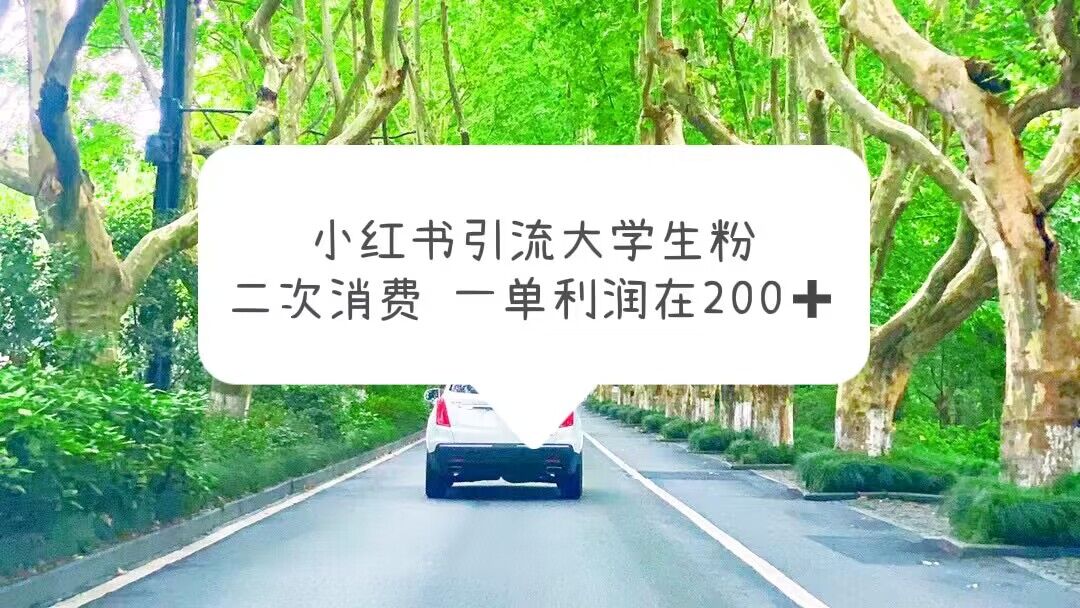 （5914期）小红书引流大学生粉，变现项目，一单利润在200+（教程+资源）_网络创业-网赚项目-副业赚钱-信息差项目-互联网创业-资源整合-创业资讯-最新网赚课程金铲子项目