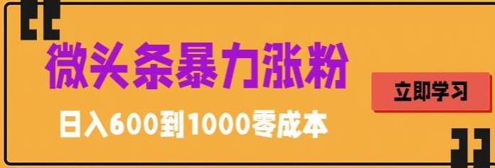 （5950期）微头条暴力涨粉技巧搬运文案就能涨几万粉丝，简单0成本，日赚600_网络创业-网赚项目-副业赚钱-信息差项目-互联网创业-资源整合-创业资讯-最新网赚课程金铲子项目