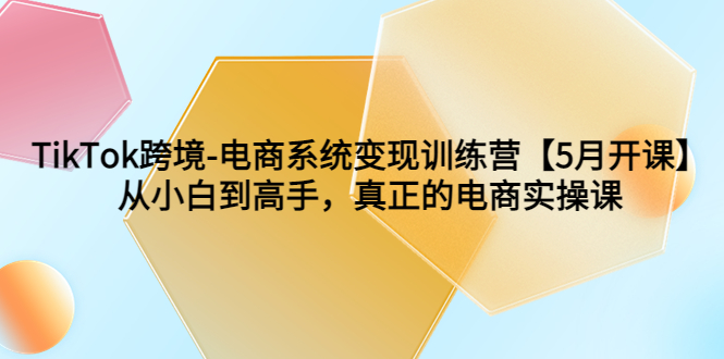 （6058期）TikTok跨境-电商系统变现训练营【5月新课】从小白到高手，真正的电商实操课_网络创业-网赚项目-副业赚钱-信息差项目-互联网创业-资源整合-创业资讯-最新网赚课程金铲子项目