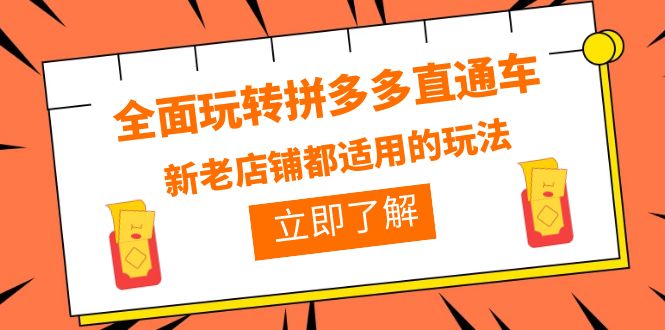 （6294期）全面玩转拼多多直通车，新老店铺都适用的玩法（12节精华课）_网络创业-网赚项目-副业赚钱-信息差项目-互联网创业-资源整合-创业资讯-最新网赚课程金铲子项目
