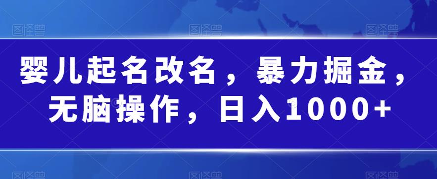 婴儿起名改名，暴力掘金，无脑操作，日入1000+【揭秘】_网络创业-网赚项目-副业赚钱-信息差项目-互联网创业-资源整合-创业资讯-最新网赚课程金铲子项目