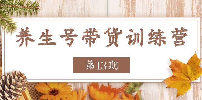 养生号带货训练营【第13期】收益更稳定的玩法，让你带货收益爆炸_网络创业-网赚项目-副业赚钱-信息差项目-互联网创业-资源整合-创业资讯-最新网赚课程金铲子项目
