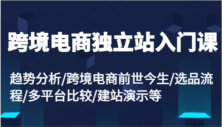 跨境电商独立站入门课：趋势分析/跨境电商前世今生/选品流程/多平台比较/建站演示等_网络创业-网赚项目-副业赚钱-信息差项目-互联网创业-资源整合-创业资讯-最新网赚课程金铲子项目