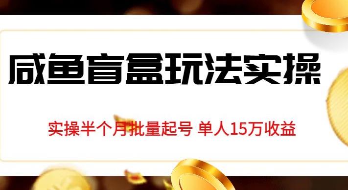 独家首发咸鱼盲盒玩法实操，半个月批量起号单人15万收益【揭秘】_网络创业-网赚项目-副业赚钱-信息差项目-互联网创业-资源整合-创业资讯-最新网赚课程金铲子项目