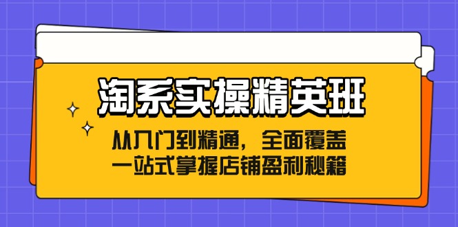 淘系实操精英班：从入门到精通，全面覆盖，一站式掌握店铺盈利秘籍_网络创业-网赚项目-副业赚钱-信息差项目-互联网创业-资源整合-创业资讯-最新网赚课程金铲子项目