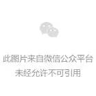 （6941期）视频号粗暴玩法，一天利润大几千！_网络创业-网赚项目-副业赚钱-信息差项目-互联网创业-资源整合-创业资讯-最新网赚课程金铲子项目