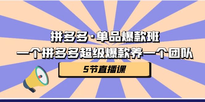 （7019期）拼多多·单品爆款班，一个拼多多超级爆款养一个团队（5节直播课）_网络创业-网赚项目-副业赚钱-信息差项目-互联网创业-资源整合-创业资讯-最新网赚课程金铲子项目