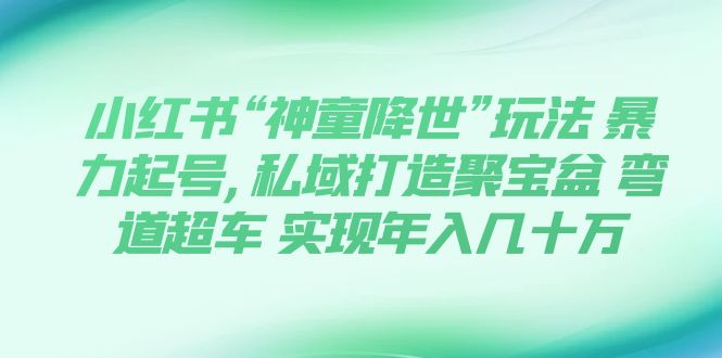 （7673期）小红书“神童降世”玩法 暴力起号,私域打造聚宝盆 弯道超车 实现年入几十万_网络创业-网赚项目-副业赚钱-信息差项目-互联网创业-资源整合-创业资讯-最新网赚课程金铲子项目