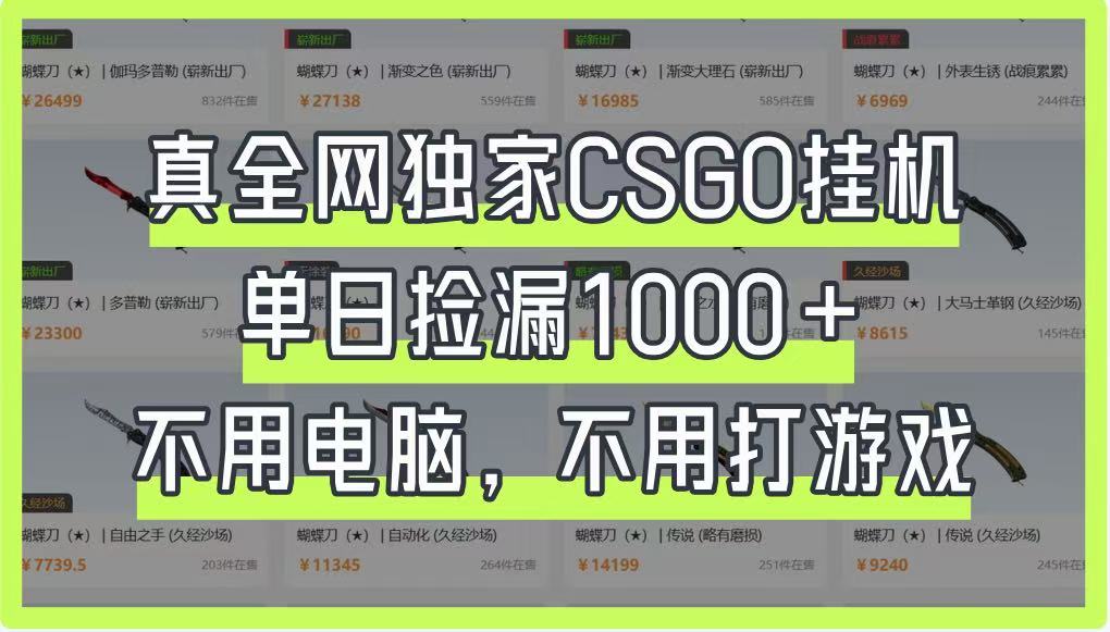 真全网独家CSGO挂机，单日捡漏1000+，不用电脑，不用养号_网络创业-网赚项目-副业赚钱-信息差项目-互联网创业-资源整合-创业资讯-最新网赚课程金铲子项目