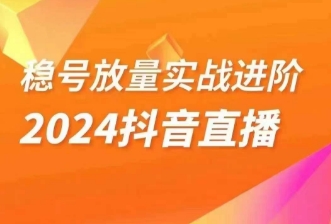 稳号放量实战进阶—2024抖音直播，直播间精细化运营的几大步骤_网络创业-网赚项目-副业赚钱-信息差项目-互联网创业-资源整合-创业资讯-最新网赚课程金铲子项目