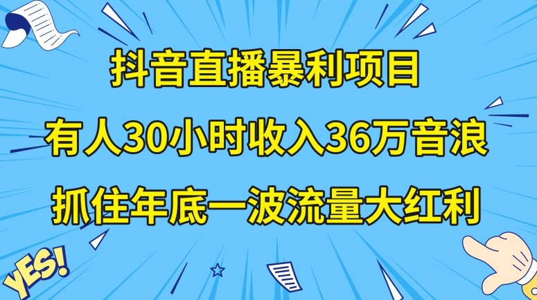抖音直播暴利项目，有人30小时收入36万音浪，公司宣传片年会视频制作，抓住年底一波流量大红利【揭秘】_网络创业-网赚项目-副业赚钱-信息差项目-互联网创业-资源整合-创业资讯-最新网赚课程金铲子项目