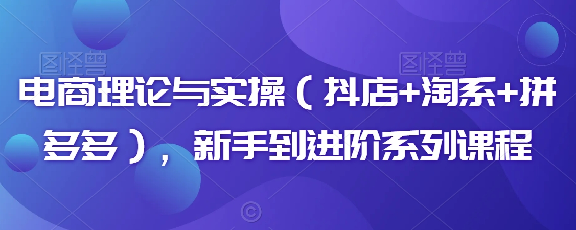 电商理论与实操（抖店+淘系+拼多多），新手到进阶系列课程_网络创业-网赚项目-副业赚钱-信息差项目-互联网创业-资源整合-创业资讯-最新网赚课程金铲子项目