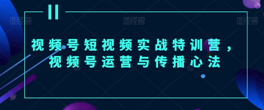 视频号短视频实战特训营，视频号运营与传播心法_网络创业-网赚项目-副业赚钱-信息差项目-互联网创业-资源整合-创业资讯-最新网赚课程金铲子项目