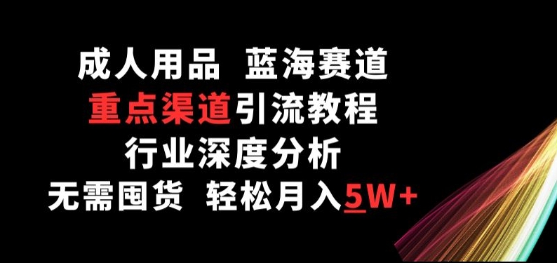 成人用品，蓝海赛道，重点渠道引流教程，行业深度分析，无需囤货，轻松月入5W+_网络创业-网赚项目-副业赚钱-信息差项目-互联网创业-资源整合-创业资讯-最新网赚课程金铲子项目