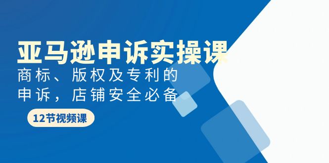 （9754期）亚马逊-申诉实战课，​商标、版权及专利的申诉，店铺安全必备_网络创业-网赚项目-副业赚钱-信息差项目-互联网创业-资源整合-创业资讯-最新网赚课程金铲子项目
