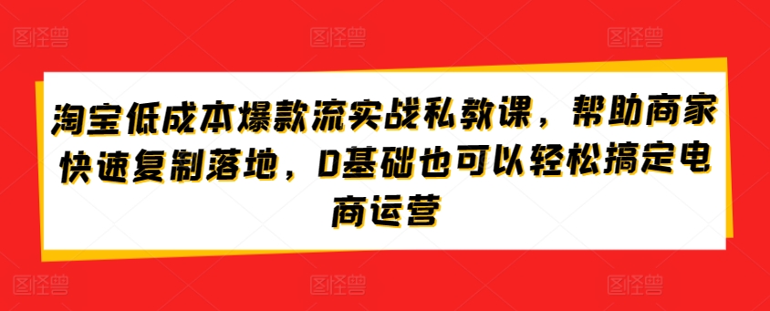 淘宝低成本爆款流实战私教课，帮助商家快速复制落地，0基础也可以轻松搞定电商运营_网络创业-网赚项目-副业赚钱-信息差项目-互联网创业-资源整合-创业资讯-最新网赚课程金铲子项目