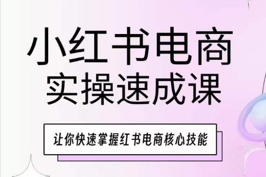 小红书电商实操速成课，让你快速掌握红书电商核心技能_网络创业-网赚项目-副业赚钱-信息差项目-互联网创业-资源整合-创业资讯-最新网赚课程金铲子项目