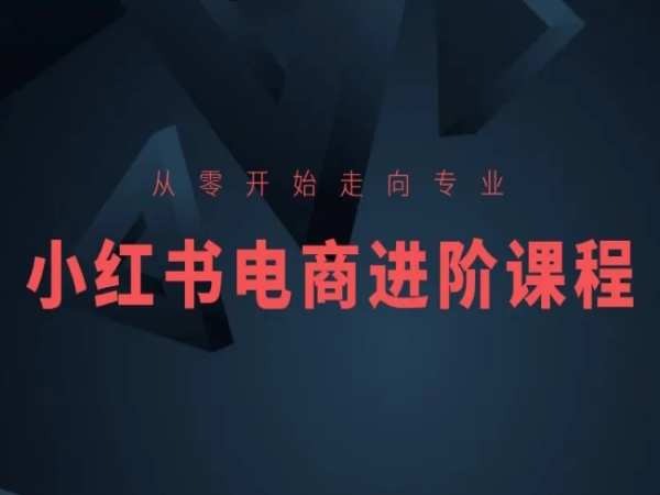 从零开始走向专业，小红书电商进阶课程_网络创业-网赚项目-副业赚钱-信息差项目-互联网创业-资源整合-创业资讯-最新网赚课程金铲子项目