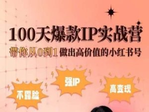 小红书100天爆款IP实战营，带你从0到1做出高价值的小红书号_网络创业-网赚项目-副业赚钱-信息差项目-互联网创业-资源整合-创业资讯-最新网赚课程金铲子项目