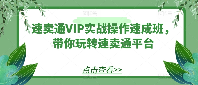 速卖通VIP实战操作速成班，带你玩转速卖通平台_网络创业-网赚项目-副业赚钱-信息差项目-互联网创业-资源整合-创业资讯-最新网赚课程金铲子项目