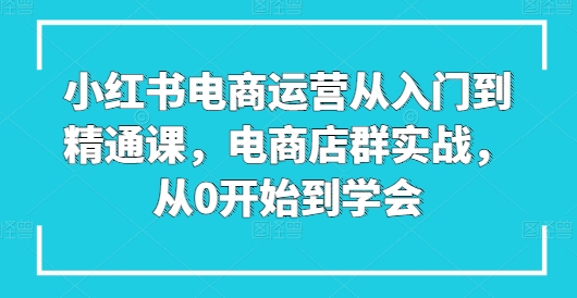 小红书电商运营从入门到精通课，电商店群实战，从0开始到学会_网络创业-网赚项目-副业赚钱-信息差项目-互联网创业-资源整合-创业资讯-最新网赚课程金铲子项目