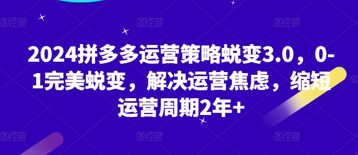 2024拼多多运营策略蜕变3.0，0-1完美蜕变，解决运营焦虑，缩短运营周期2年+_网络创业-网赚项目-副业赚钱-信息差项目-互联网创业-资源整合-创业资讯-最新网赚课程金铲子项目