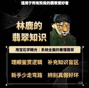 林鹿的翡翠知识，​用宝石眼光，系统全面的看懂翡翠_网络创业-网赚项目-副业赚钱-信息差项目-互联网创业-资源整合-创业资讯-最新网赚课程金铲子项目