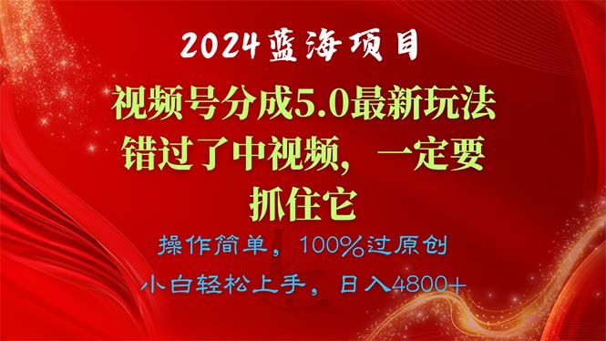 （11032期）2024蓝海项目，视频号分成计划5.0最新玩法，错过了中视频，一定要抓住…_网络创业-网赚项目-副业赚钱-信息差项目-互联网创业-资源整合-创业资讯-最新网赚课程金铲子项目
