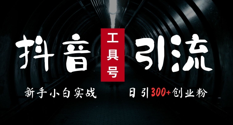 2024最新抖音工具号引流玩法，高效日引300+创业粉，当天变现5k，小白也可成为实战高手_网络创业-网赚项目-副业赚钱-信息差项目-互联网创业-资源整合-创业资讯-最新网赚课程金铲子项目