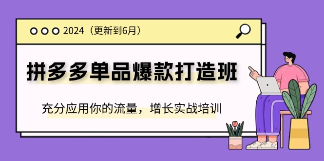 （11556期）2024拼多多-单品爆款打造班(更新6月)，充分应用你的流量，增长实战培训_网络创业-网赚项目-副业赚钱-信息差项目-互联网创业-资源整合-创业资讯-最新网赚课程金铲子项目