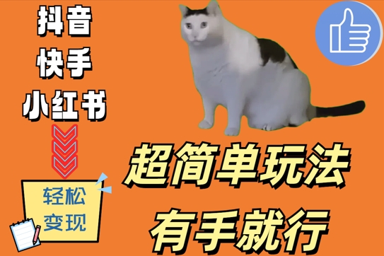超简单玩法，有手就行，靠猫咪视频日入500+_网络创业-网赚项目-副业赚钱-信息差项目-互联网创业-资源整合-创业资讯-最新网赚课程金铲子项目