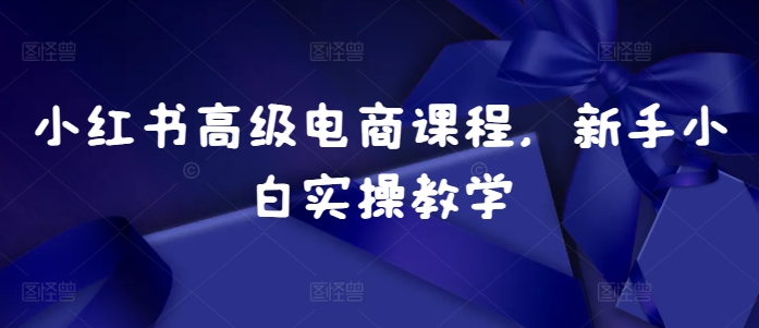 小红书高级电商课程，新手小白实操教学_网络创业-网赚项目-副业赚钱-信息差项目-互联网创业-资源整合-创业资讯-最新网赚课程金铲子项目